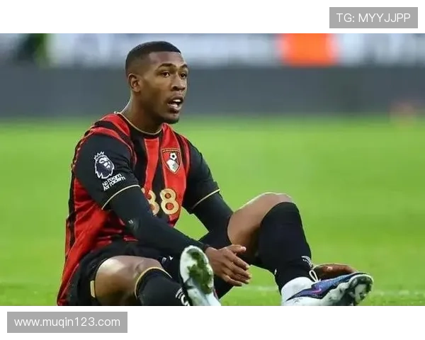 拉扬为出场时间加盟伯恩茅斯队